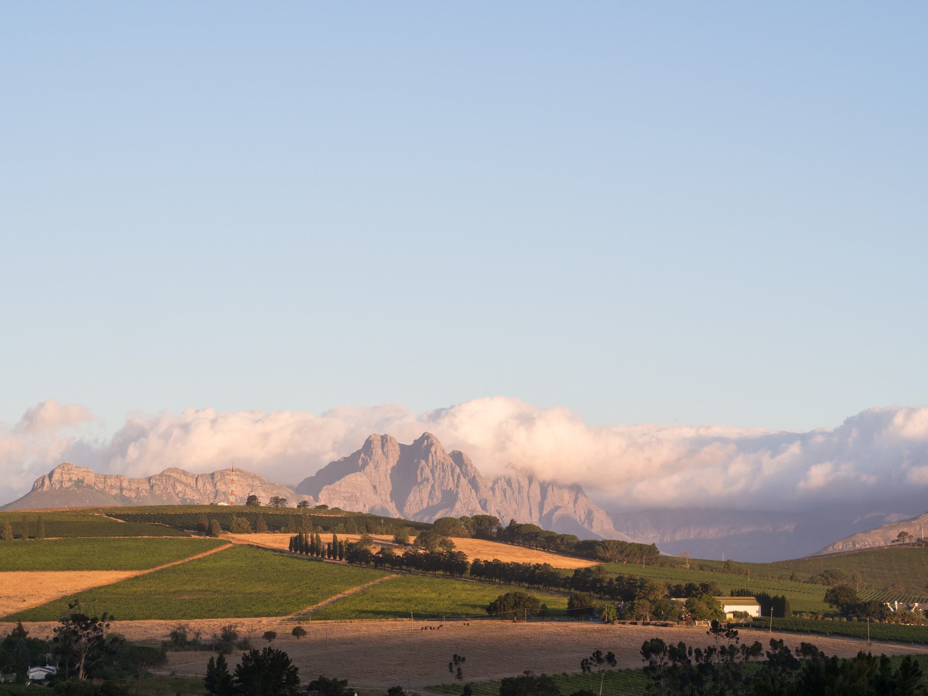 Stellenbosch